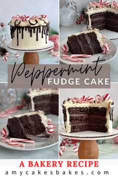 four photos of a peppermint fudge cake with chocolate frosting and candy canes