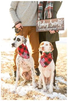 two dogs are wearing bandanas and standing next to each other in front of a sign