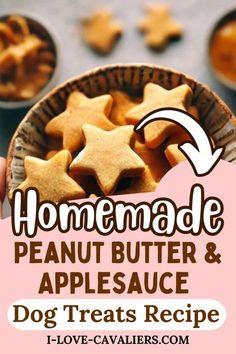 homemade peanut butter and apple sauce dog treats recipe with text overlay that reads homemade peanut butter and apple