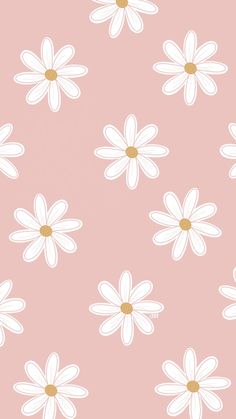 a pink background with white daisies on it