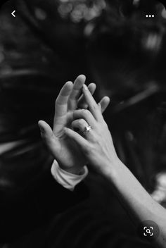 black and white photograph of two hands holding each other with their fingers in the air