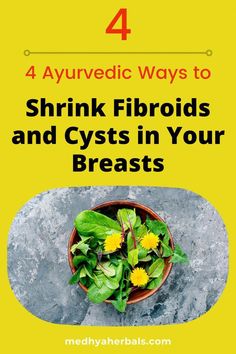 Ayurvedic natural treatment for fibrocystic breast disease involves herbals, diet & regular massage. Learn how you can cure fibrous breasts. Heart Diet, Cabbage Leaves, Breast Health, Healthy Juices, Health Risks, Natural Home Remedies, Natural Treatments, Herbal Medicine, Massage Therapy