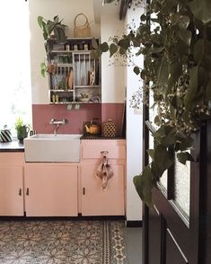 a kitchen with pink cabinets and plants in the window sill, along with an area rug on the floor