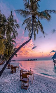 the beach is lined with palm trees and chairs at sunset, while the sun sets in the distance