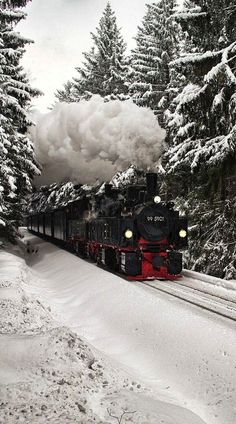 a train traveling through a snowy forest filled with lots of snow on top of it