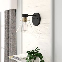 a lamp that is on the side of a wall next to a potted plant