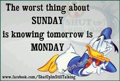 a cartoon duck laying on its back with the words, the worst thing about sunday is known