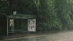 a bus stop sitting on the side of a road next to a lush green forest