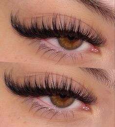 Pretty Lashes