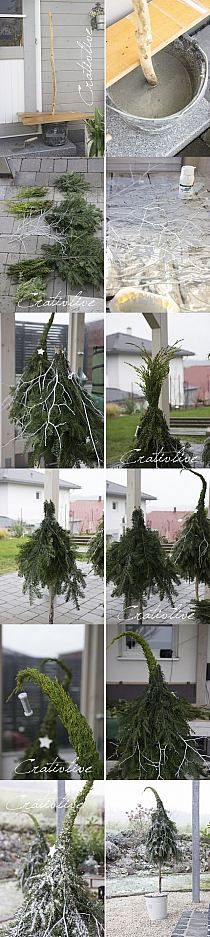 four different shots of trees being blown over by the wind