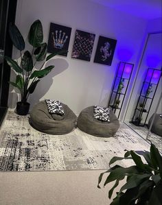 two bean bag chairs sitting on top of a rug next to a potted plant