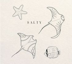 some sea animals and starfish are depicted in this hand - drawn illustration from the book salty