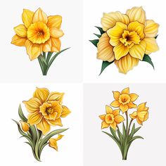 four different types of yellow flowers with green leaves