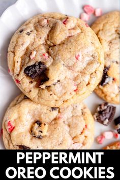 peppermint oreo cookies on a white plate