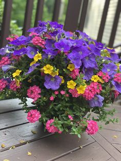 purple and yellow flowers in a pot on a deck