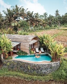 a house with a swimming pool in the middle of some trees and plants around it