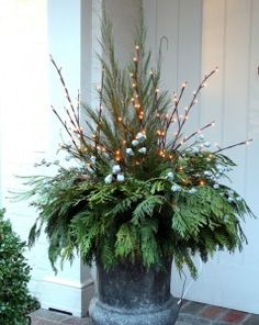 a potted plant with christmas lights on the top and greenery in front of it