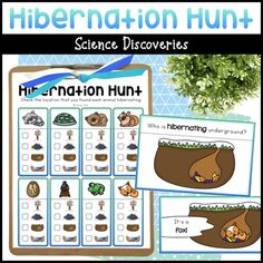 the science discovery hunt for children to learn how plants grow