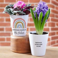 two potted plants sitting next to each other on a wooden stand in front of a brick wall