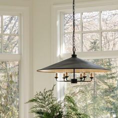 a potted plant sitting on top of a wooden table next to a light fixture