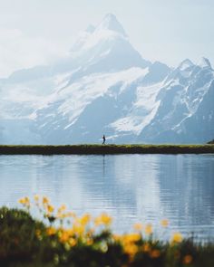 a person standing on the edge of a lake with mountains in the background and yellow flowers