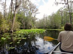 a person in a canoe paddling down a river with lily pads on the water