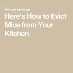 the words here's how to evit mice from your kitchen on a beige background