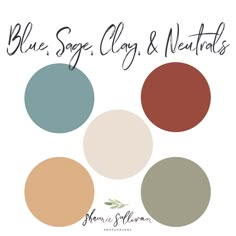 the color scheme for blue sage, clay and neutrals