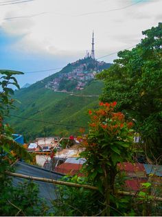 a hill that has some houses on it and trees in the foreground with buildings on top