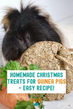 a guinea pig with its head on top of a piece of bread next to carrots