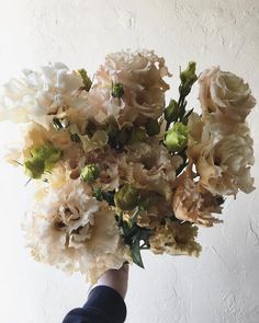 a hand holding a bouquet of flowers in front of a white wall with green leaves