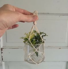 a person holding a plant in a glass jar with string attached to the top and bottom