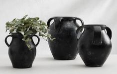 three black vases with green plants in them