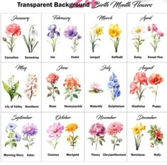 different types of flowers are shown in this image, with the words transparente background