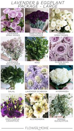 a bunch of flowers that are in different colors and sizes with the words lavenders & ec