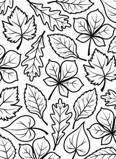 black and white leaves on a white background