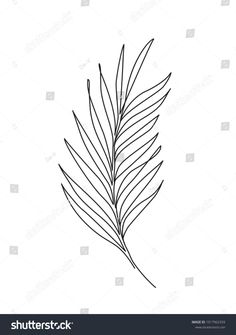 a single line drawing of a leaf on a white background