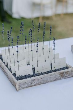 Looking for a lavender-themed wedding inspiration? Look no further than this gorgeous wedding in the French Riviera. The unique escort card display is just one of the many elegant details that make this party so special. Lavender Wedding Seating Chart, Lavender Seating Chart, Diy Wedding Seating Cards, Lavender Inspired Wedding, Wedding Lavander Theme, Wedding Party Details, Lavender Themed Wedding Decoration, French Riviera Wedding Theme, Lavender Themed Party