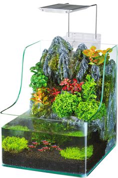 an aquarium with plants and rocks in it