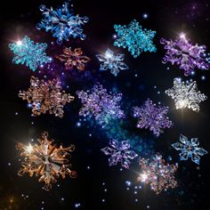 many snowflakes are shown against a black background