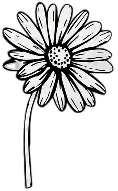 Daisy Svg, Free Daisy Svg Files For Cricut, Daisy Clipart, Daisy Svg Free, Gerbera Daisy Svg Free, Daisy Vector Illustration, Daisy Clipart Flowers, Daisy Field, Flower Line Drawings