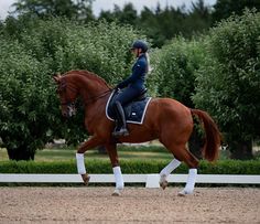 a woman riding on the back of a brown horse in front of some green trees