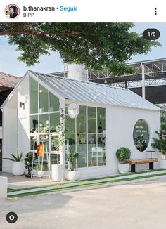 a white house with lots of windows and potted plants