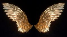 two gold angel wings on a black background