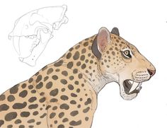 a drawing of a cheetah with its mouth open