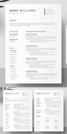 the professional resume template is ready to be used for any job