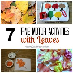 five fall activities for toddlers to do with leaves