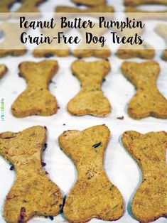 peanut butter pumpkin grain - free dog treats