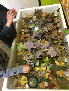 a young boy looking at leaves in a bin with a magnifying glass on it