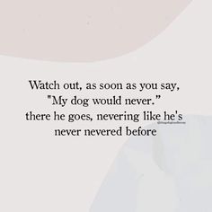 a quote that reads watch out, as soon as you say, my dog would never there he goes, never like he's never needed before